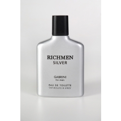 Туалетная вода для мужчин Gabrini Richmen Silver 100 мл