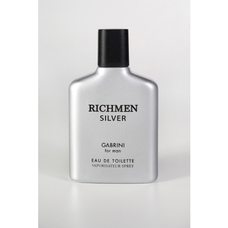 Туалетная вода для мужчин Gabrini Richmen Silver 100 мл